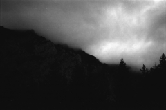 Dark Lake, Deep Woods