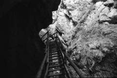 Dense Woods, Wild Canyons | Bärenschützklamm. Camera: Nikon F100, Film: Ilford FP4+. Location: Bärenschützklamm, Styria/Austria.