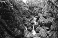 Dense Woods, Wild Canyons | Bärenschützklamm. Camera: Nikon F100, Film: Ilford FP4+. Location: Bärenschützklamm, Styria/Austria.