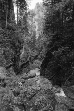 Dense Woods, Wild Canyons | Bärenschützklamm. Camera: Nikon F100, Film: Ilford FP4+. Location: Bärenschützklamm, Styria/Austria.