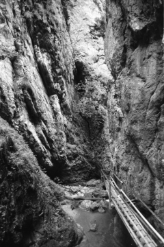 Dense Woods, Wild Canyons | Bärenschützklamm. Camera: Nikon F100, Film: Ilford FP4+. Location: Bärenschützklamm, Styria/Austria.