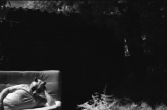 Domestic Panda: Infrared.