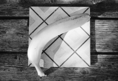 Fruit Tiles: Banana. Camera: Nikon F100. Film: Kodak Tri-X 400 @ 400, Rodinal.