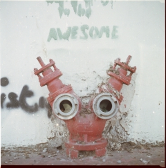 looking at things | abandoned. kamera: kiev 88. film: kodak ektar 100. location: tel aviv/florentin., israel.