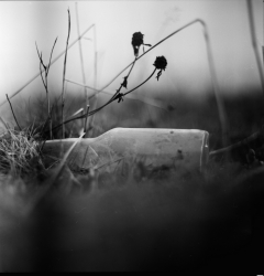 looking at things | abandoned. Camera: Kiev 88. Film: Ilford Pan 100.