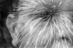 Lucid Dream: Self-Concept. Camera: Nikon F100. Film: Kodak Tri-X 400.