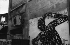 Street Art Tel Aviv, Nikon FE, Kodak Tri-X 400 @ 3200, Rodinal