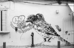 Street Art Tel Aviv, Nikon F100, Kodak Tri-X 400 @ 400, Rodinal