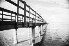 Bridge