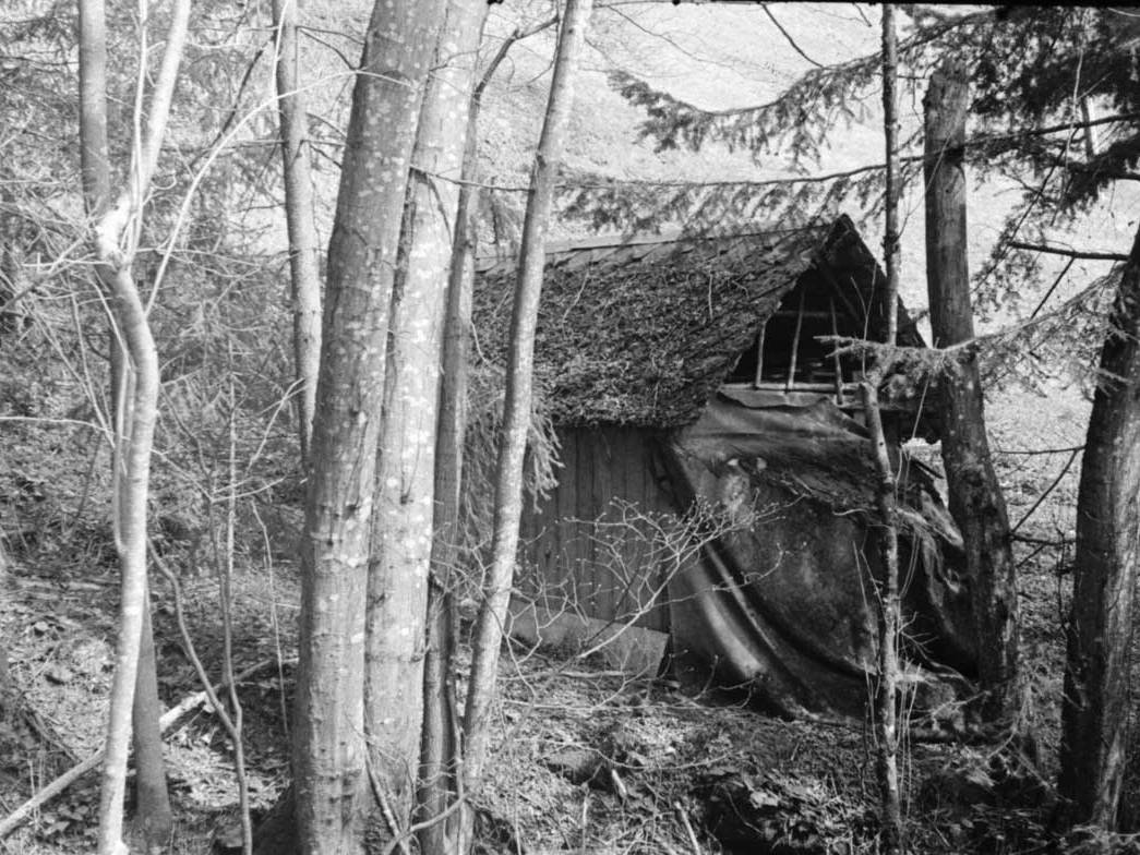 In Hell: The Black Lodge. Camera: Zorki 1. Film: Kodak Tri-X 400. - Twin Peaks Topic.