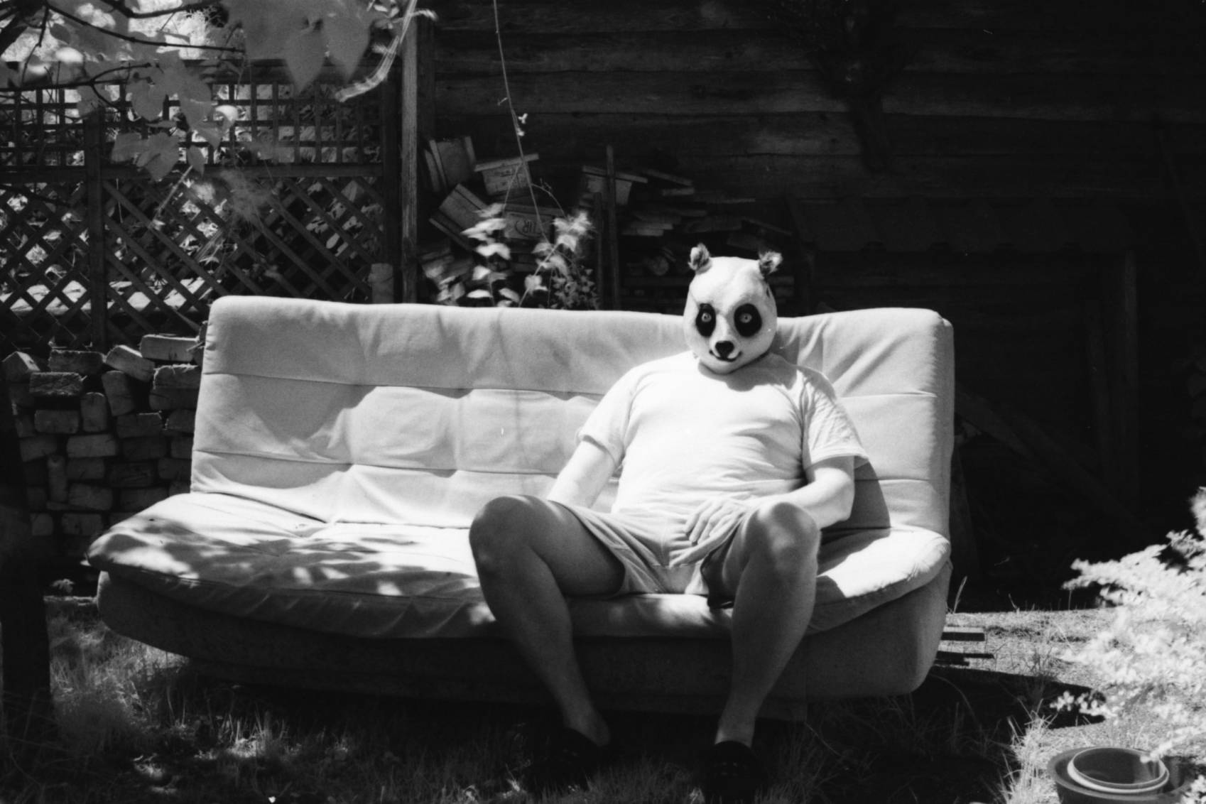 Domestic Panda: Infrared. Camera: Nikon FE. Film: Rollei Infrared IR400. Filter IR760.