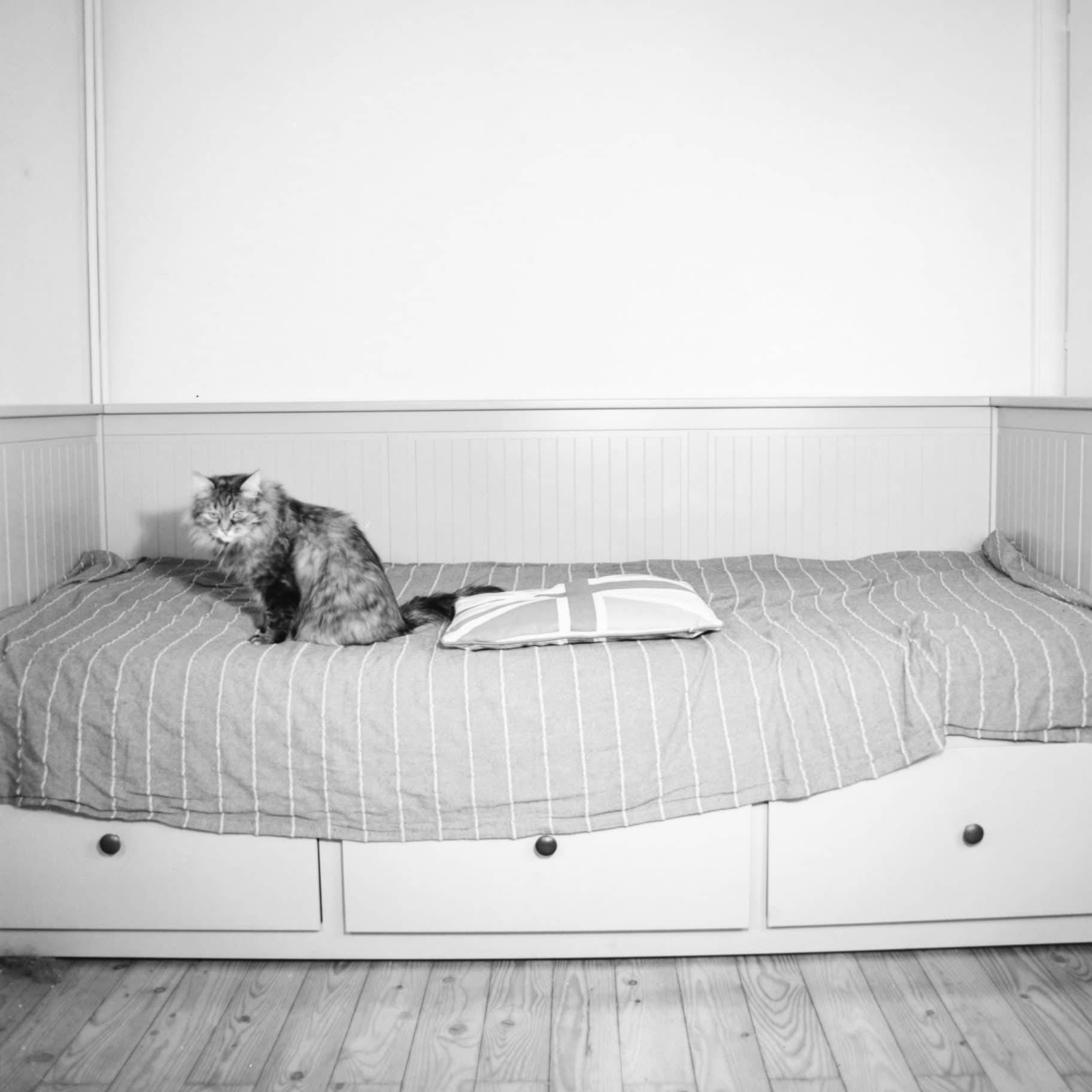 What ever happened to Brexit?