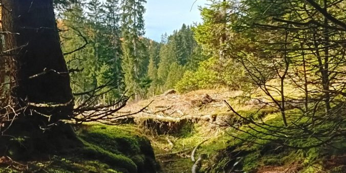 Das steirische Almenland im Südosten Österreichs