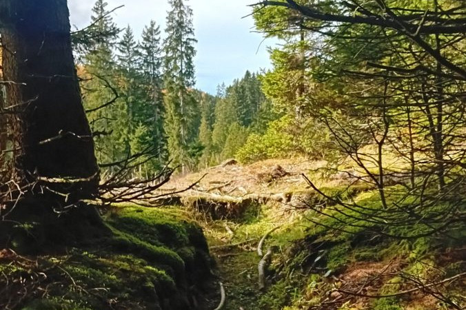 Das steirische Almenland im Südosten Österreichs